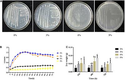 Salt Tolerance Mechanism of the Rhizosphere Bacterium JZ-GX1 and Its Effects on Tomato Seed Germination and Seedling Growth